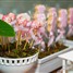 Ursinhas florais rosa e branco para Luiza 1 ano