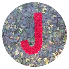 Festa de 15 anos da Julia